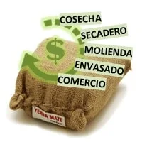 Dinámica Yerba Mate