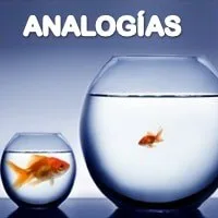 Dinámica Analogías
