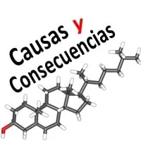 Dinámica Causas y Consecuencias