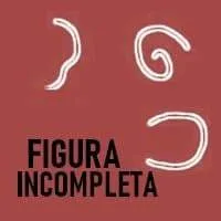 Dinámica Figura Incompleta