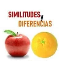 Dinámica Similitudes y Diferencias