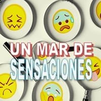 Un Mar de Sensaciones